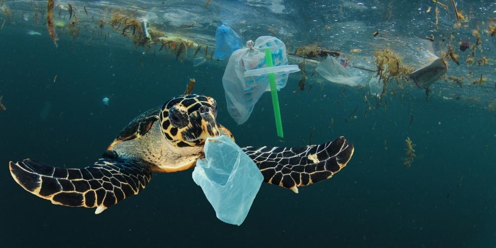 Plastic waste